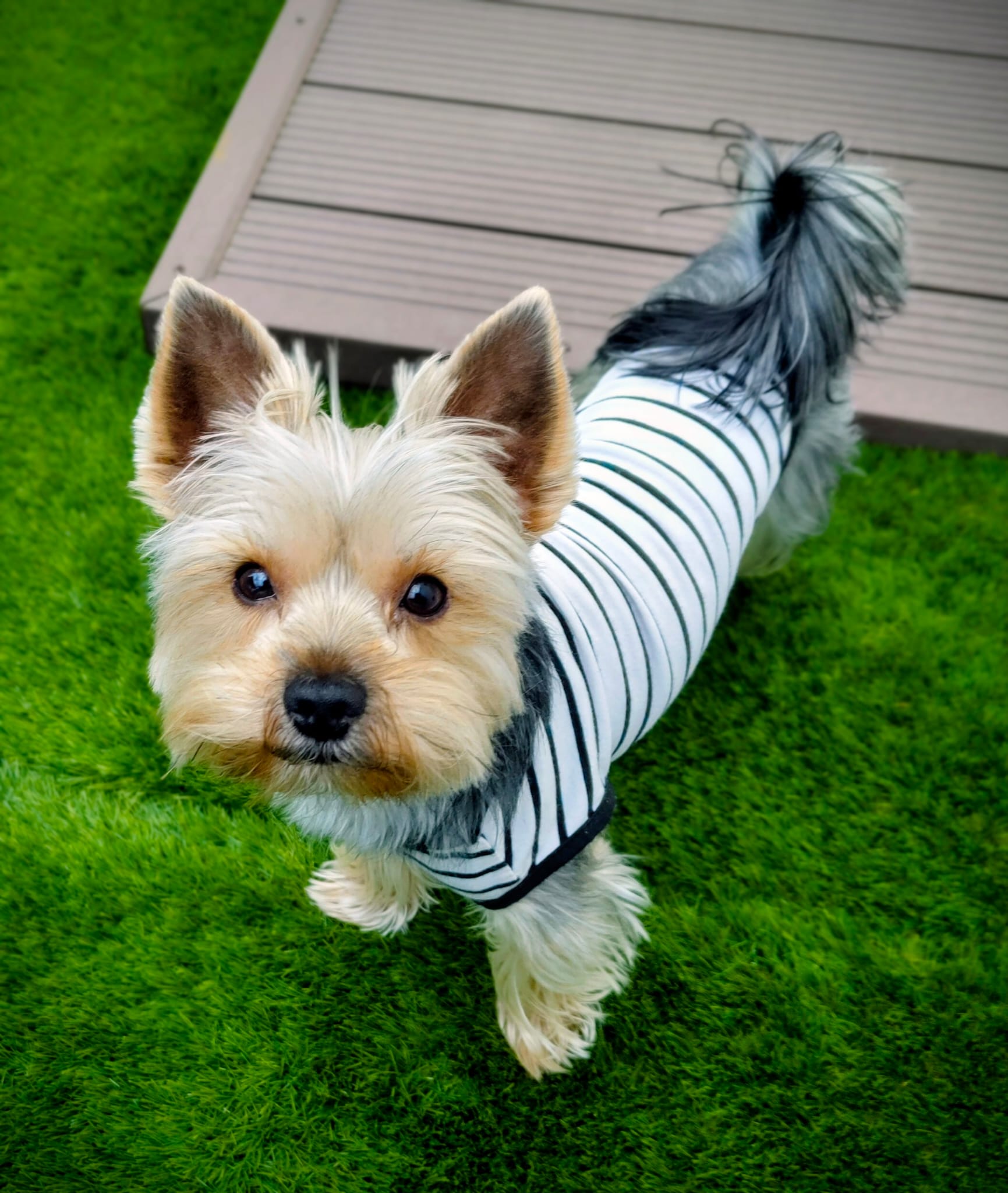 Centro psicologia Camins